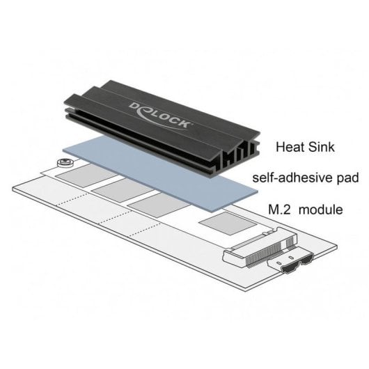 Kühlkörper DeLock 18284 Aluminium 100 mm für M.2 SSD Schwarz
