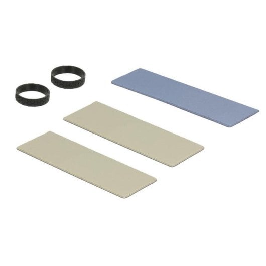 Dissipatore DeLock 18283 Alluminio Nero 70 mm per SSD M.2