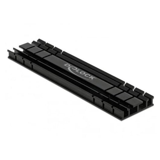 Disipateur M.2 DeLock 18286 aluminium noir 100 mm SSD thermique plat