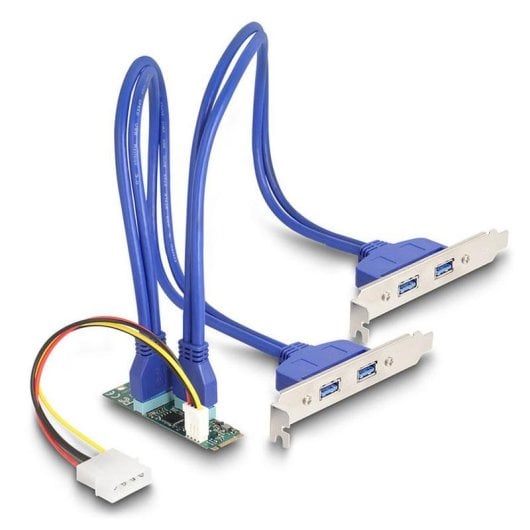 Adattatore DeLock 61066 M.2 B+M 4x USB 3.2 Gen 1 5Gbps