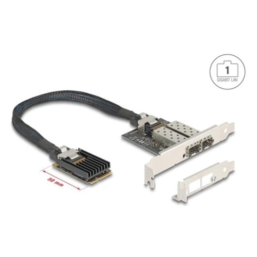 Tarjeta de Red DeLock 95281 Mini PCI Express 2x SFP Gigabit Low Profile