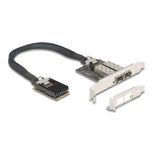 Tarjeta de Red DeLock 95281 Mini PCI Express 2x SFP Gigabit Low Profile