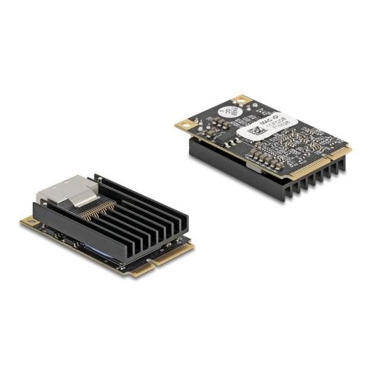 Tarjeta de Red DeLock 95281 Mini PCI Express 2x SFP Gigabit Low Profile