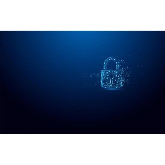 Pen drive Kingston IronKey Vault Privacy 50 64GB AES-256 FIPS 197