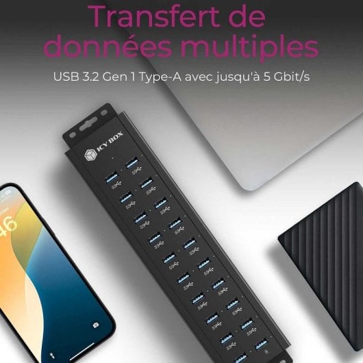 Hub ICY BOX 20 porte USB 3.2 Gen 1 IB-HUB1720-U3 alluminio LED power/access