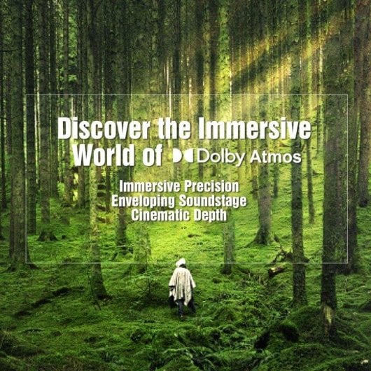 Barra de sonido Hiwill A312 Bluetooth 400W Dolby Atmos Subwoofer 5,25 Zoll