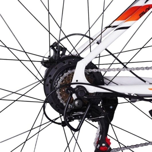 Bicicleta eléctrica PVY M29 motor 250 W batería 48 V 17,5 Ah frenos de disco 29 pulgadas Gris