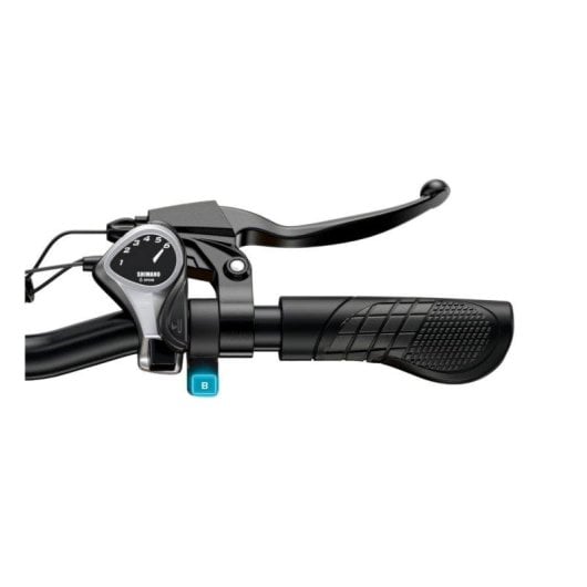Bicicleta Elétrica ENGWE EP-2 Boost 250W Bateria 624Wh 20x4.0 Dobrável Castanha