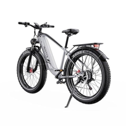 Bicicleta eléctrica DUOTTS F26 Lite Motor 500 W Batería 48 V 18 Ah neumáticos 26" freno hidráulico plata blanco