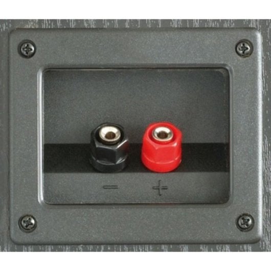 Altavoces Fenton de suelo cableados 350W frontales desmontables bass reflex