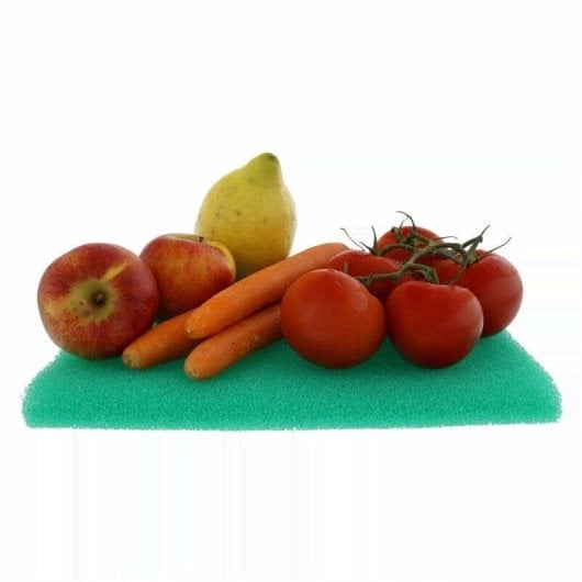 Antischimmelmatte SCANPART 1199000077 Universal Zuschneidbar Grün 46x29,5 cm