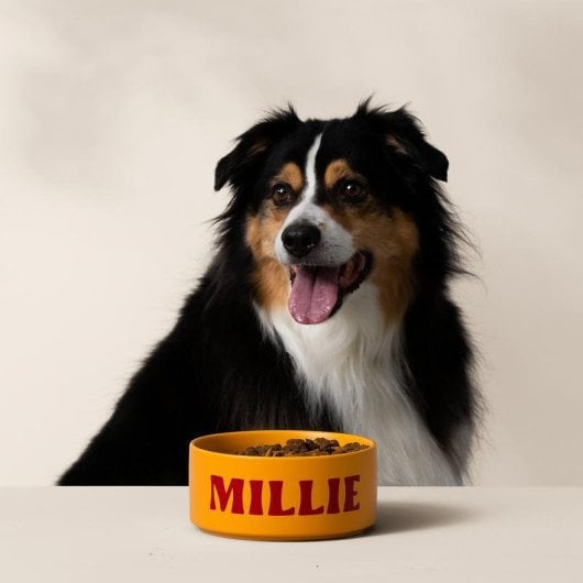 Machine de découpe Cricut Joy Xtra électronique Bluetooth polyvalente Smart Vinyl