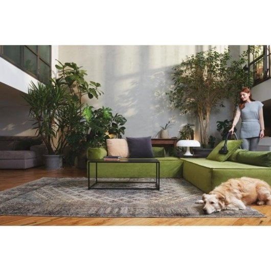 Staubsauger mit Beutel Hoover TXL80PET 011 700W Tierhaare EPA12 Filter 3,5L