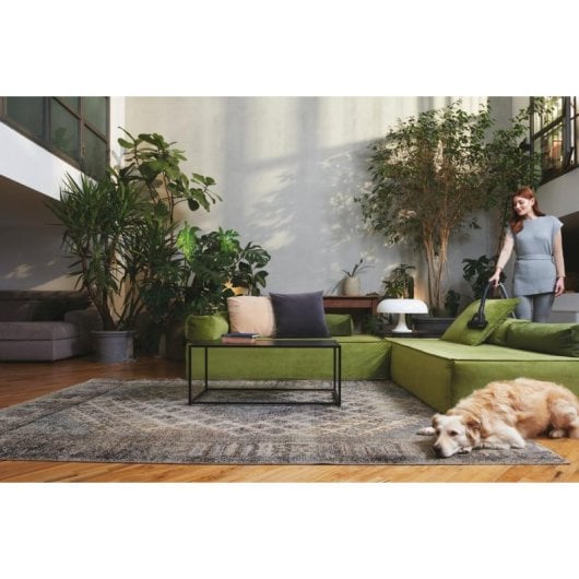 Aspiradora Con Bolsa Hoover TXL80PET 011 0,7 kW Con Cable Negra