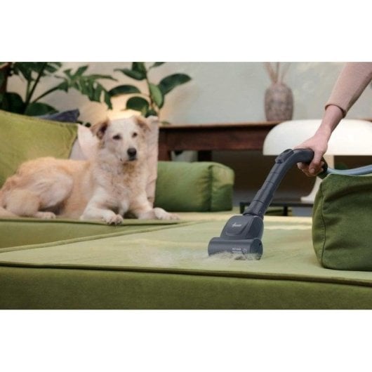 Beutelloser Staubsauger Hoover Breeze BR31PET 700W Tierhaare EPA-Filter 2L