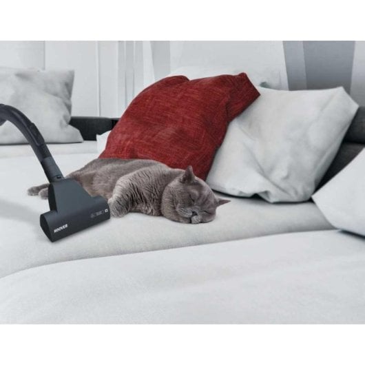 Staubsauger Beutellos HOOVER Breeze BR32PET 0.55kW Mit Kabel Schwarz