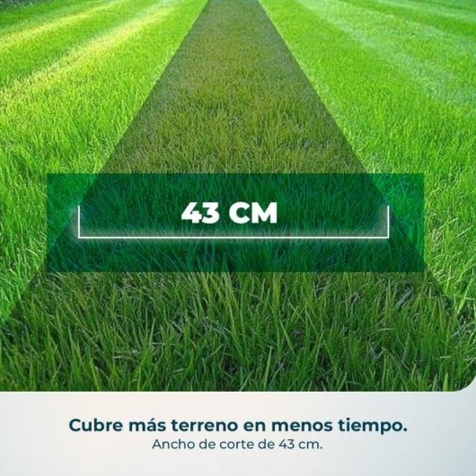 Rasenmäher Cecotec Terrenator E7 Liberty Z Plus Brushless 2x42V 43cm 45L