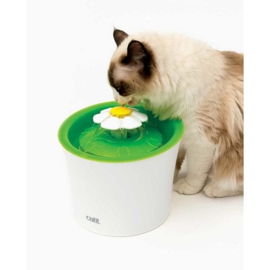 Bebedero automático Catit Flower Fountain para gatos 3 L verde blanco