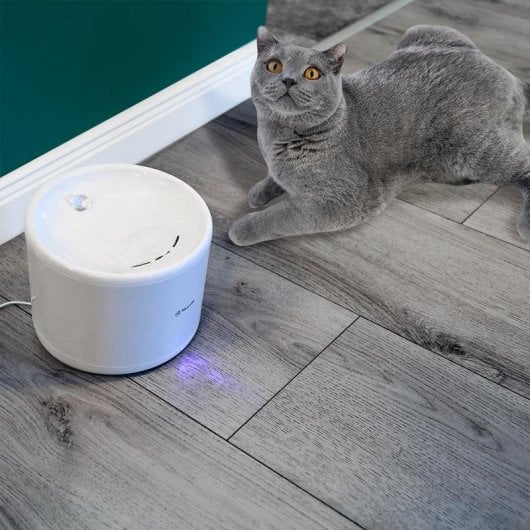 Bebedouro automático TELLUR TLL331471 Wi-Fi 2L Filtração Inteligente Branco