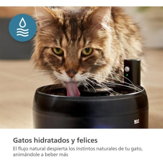 Bebedero automatique PHILIPS PAW3210/02 filtre carbone 2,2 L détecteur mouvement