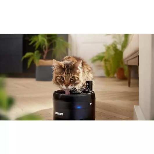 Filtro para bebedero gatos Philips PAW0010/01 carbón activado pack 3 unidades
