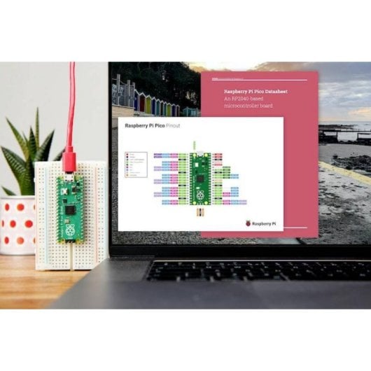 Microcontrôleur Raspberry Pi Pico H double cœur 264 Ko RAM connecteurs ADC