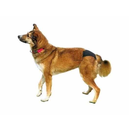 Braga protetora TRIXIE 23491 S poliéster preta para cão perímetro 24-31 cm