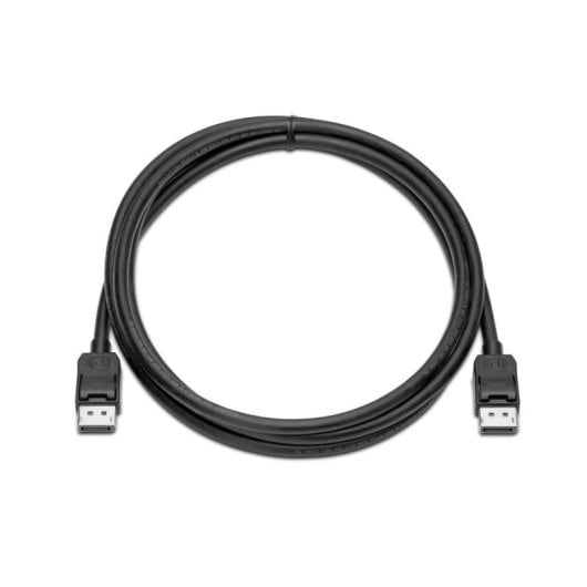 DisplayPort-Kabel HP DisplayPort Cable Kit 2 m Schwarz Male-Male
