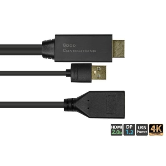Adaptateur vidéo Alcasa HDMI-AD22 0,3 m HDMI à DisplayPort Noir