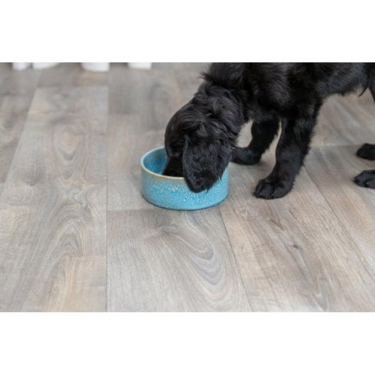 Comedero para perro TRIXIE 25112 cerámico azul 0,4 L antideslizante