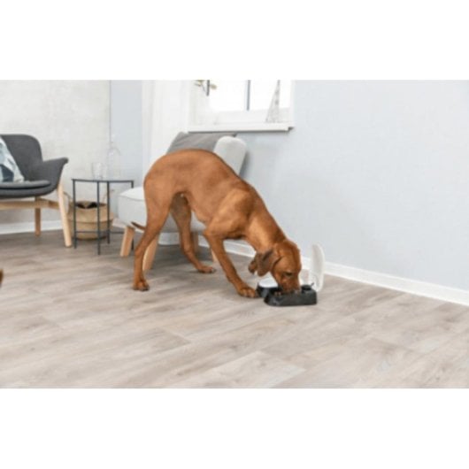 Comedero automático TRIXIE 24372 para mascotas batería plástico lavavajillas