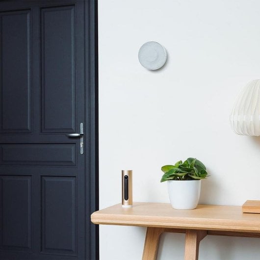 Alarme Netatmo NIS01-FR Wi-Fi Sirène sans fil Intérieur Puissance 110 dB Application