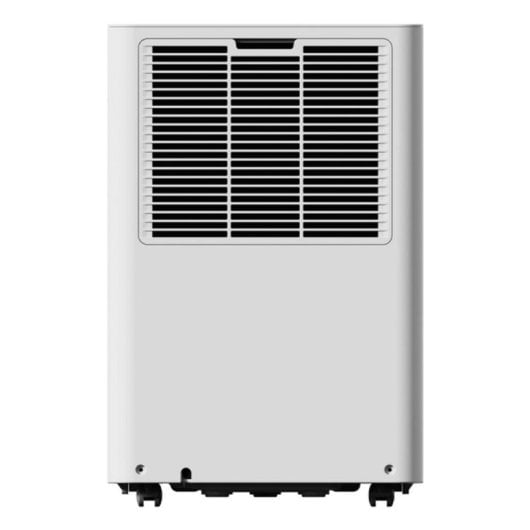 Deumidificatore ARGOCLIMA DRYPURYEVOWF31 30L 5,3L WiFi Timer LED Bianco