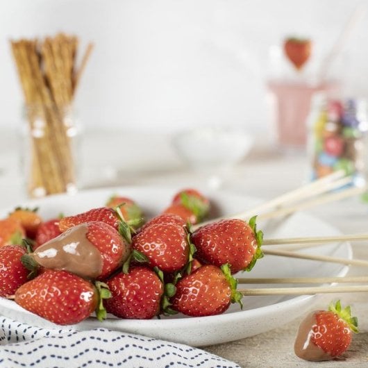 Chocolatera TRISTAR CF-1603 Fuente de Chocolate 32 W Acero Inoxidable Compacta