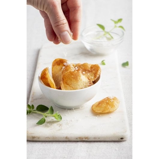 Freidora tradicional Fritel Fryer Turbo SF 4368 4L 3200W acero inoxidable fácil limpieza