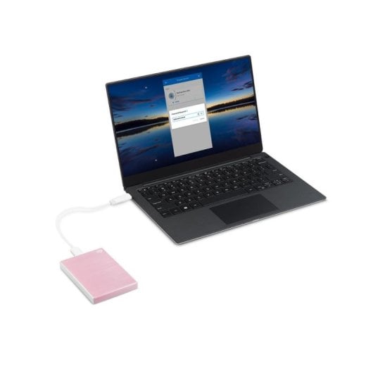 Disco Duro Seagate One Touch STKY2000405 2TB HDD USB 3.2 Sicurezza AES Rose Gold