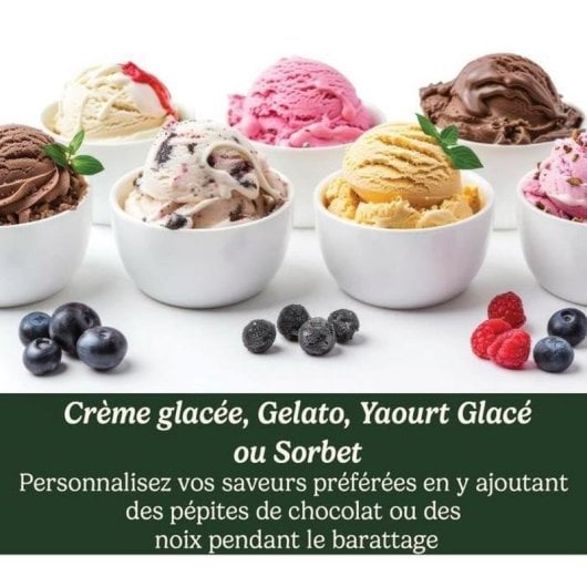 Heladora CUISINART Solo Scoops capacité 0,475 L 12 W Gris