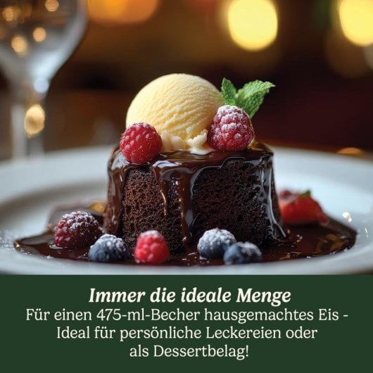 Heladora CUISINART Solo Scoops capacité 0,475 L 12 W Gris