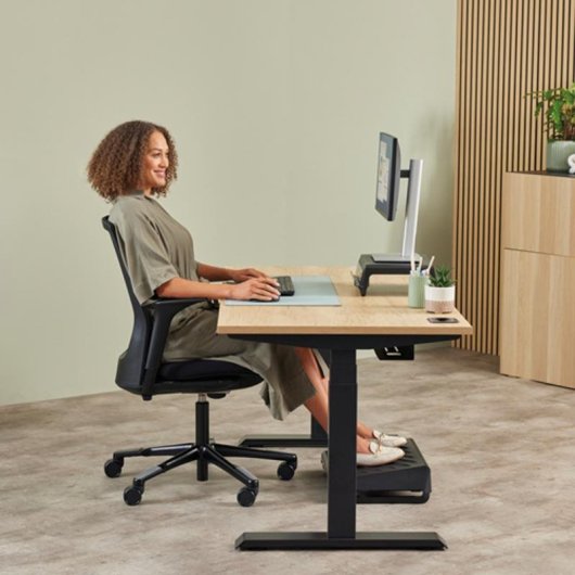 Ratón Fellowes 100143580 Bluetooth USB Type-C 2400DPI Noir Vertical Ergonomique