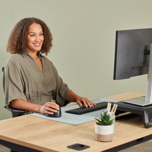 Ratón Fellowes 100143582 Bluetooth + USB Type-C 2400 DPI Preto Ergonomico