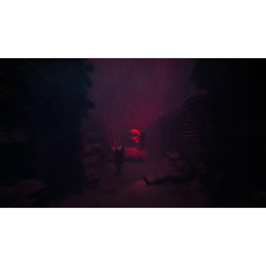 Videojuego THQ Nordic Reanimal Deluxe Edition PlayStation 5 Cooperativo Terror Aventura