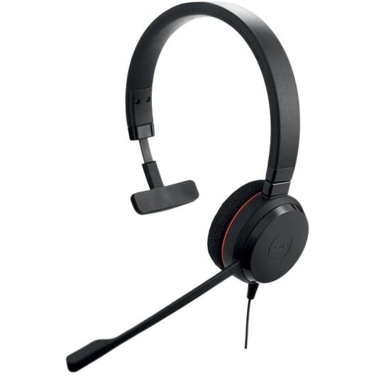 Auricolare Jabra Evolve 20 con filo USB-C/USB-A per ufficio con microfono e cancellazione del rumore Nero