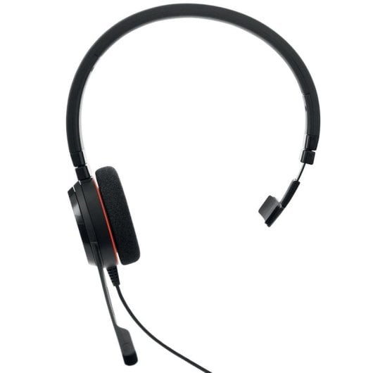 Auricolare Jabra Evolve 20 con filo USB-C/USB-A per ufficio con microfono e cancellazione del rumore Nero