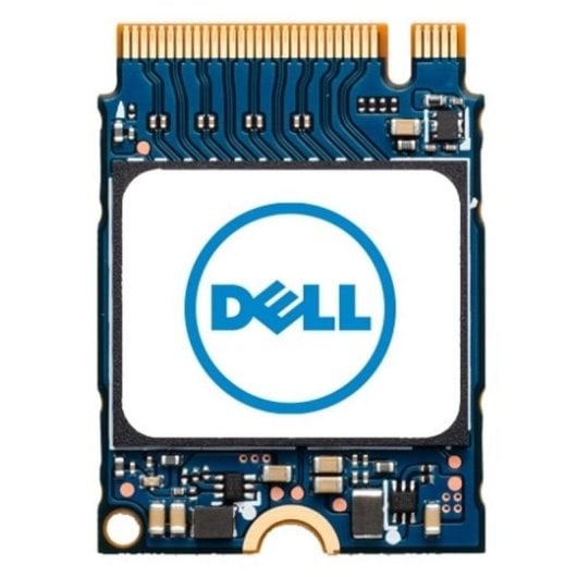 Disque SSD DELL SNP112233P/256G 256GB M.2 PCIe NVMe 2230