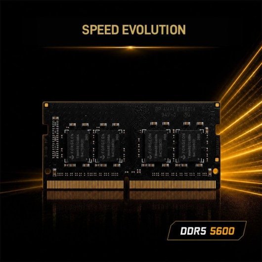 Memória RAM Forgeon Cyclone PRO 16GB 1x16GB DDR5 5600MHz CL46 Preto