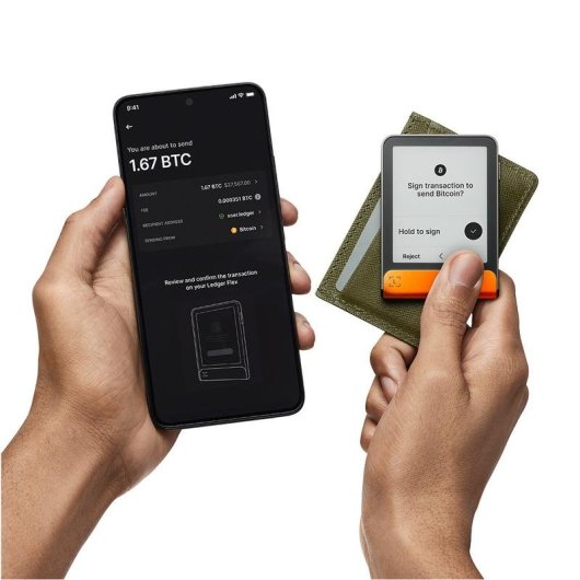 Monedero Ledger Flex Bluetooth USB E Ink Grau Orange 56,5x7,7 mm