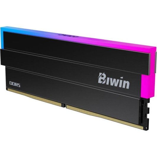 Memória RAM Biwin Black Opal DW100 48GB 2x24GB DDR5 6000MHz CL28 RGB Preto