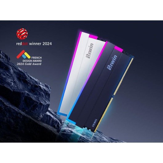 Memória RAM Biwin Black Opal DW100 48GB 2x24GB DDR5 6000MHz CL28 RGB Preto