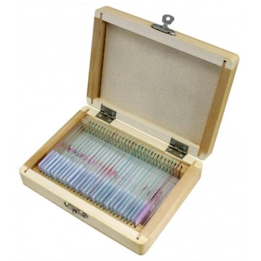 Acessório para Microscópio BRESSER 5985000 Caixa 30 Unidades