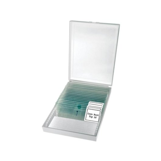 Microscopio Bresser Optics ERUDIT 400x LED Monoculare Batteria Custodia